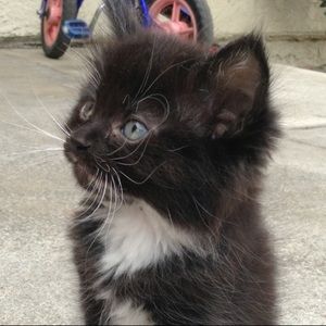 Meet your Posher, Carolina